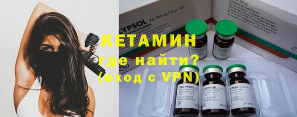 шишки Вяземский