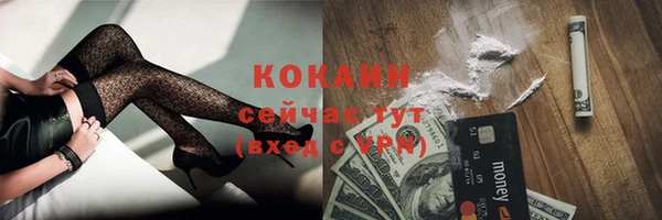шишки Вяземский