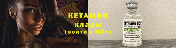 стафф Вязьма