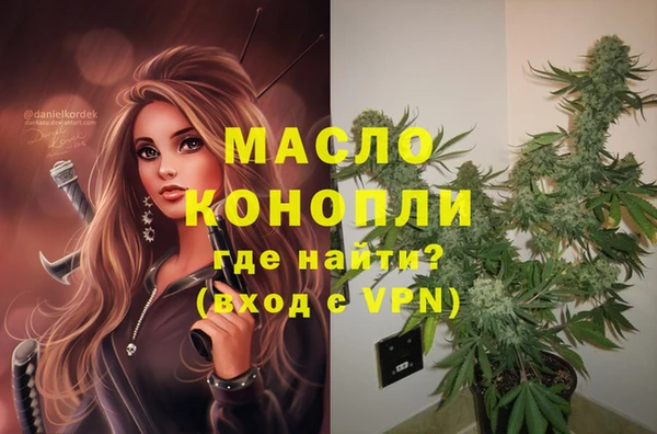 стафф Вязьма