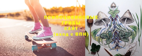 стафф Вязьма