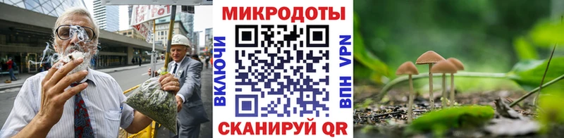 Псилоцибиновые грибы мицелий  сайты даркнета формула  Снежинск  купить  цена 