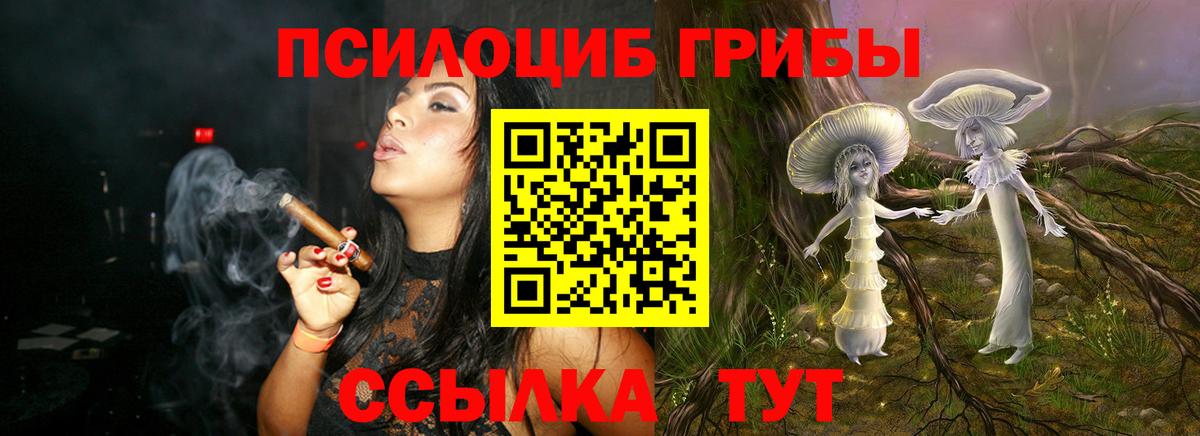 Псилоцибиновые грибы прущие грибы  Вход с VPN  Снежинск 